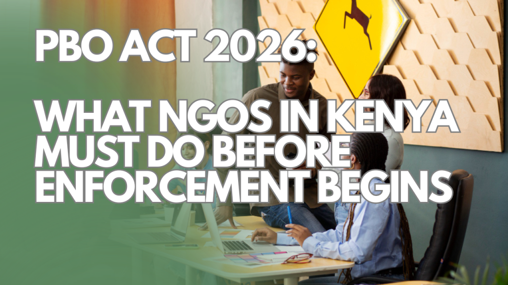 NGO team looking at screen